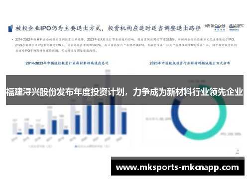 福建浔兴股份发布年度投资计划，力争成为新材料行业领先企业